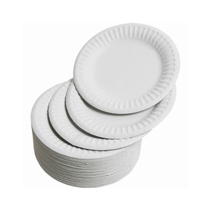 Disposable Paper Plates 100s